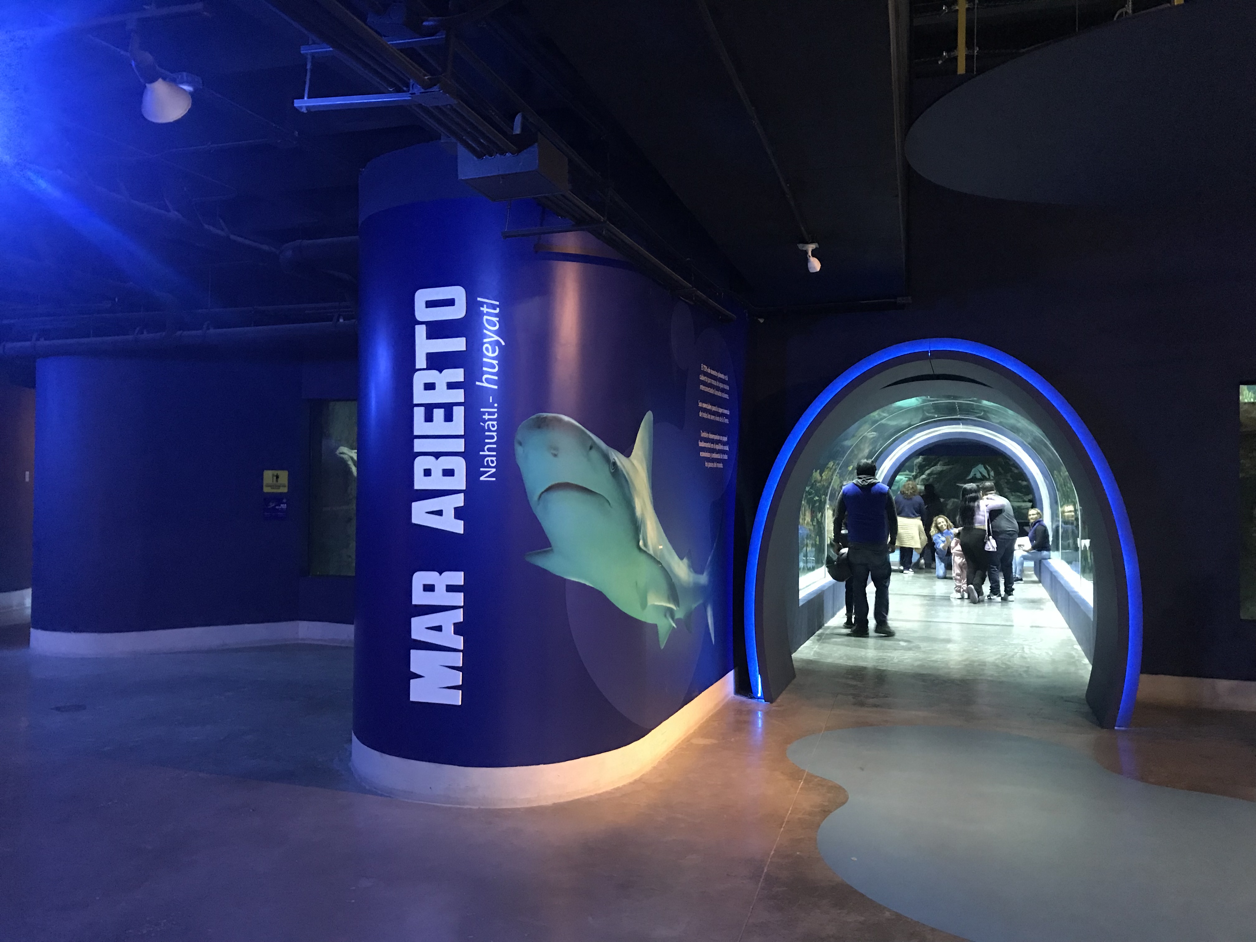 ACUARIO MICHIN TEPEYAC